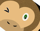 Naughty Monkey Cycle Works logo